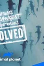 Watch Nature\'s Strangest Mysteries: Solved Movies123