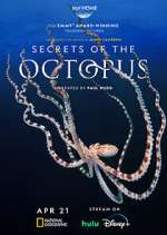Watch Secrets of the Octopus Movies123