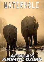 Watch Waterhole: Africa's Animal Oasis Movies123