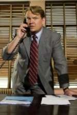 Watch Andy Barker, P.I. Movies123