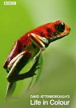 Watch Attenborough's Life in Colour Movies123