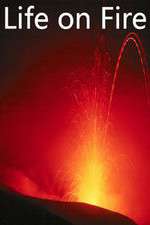 Watch Life on Fire Movies123