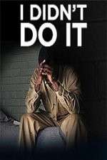 Watch I Didn't Do It (2012) Movies123