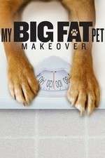 Watch My Big Fat Pet Makeover Movies123