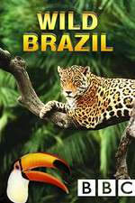 Watch Wild Brazil Movies123