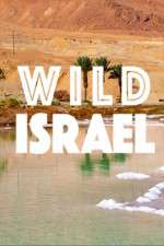 Watch Wild Israel Movies123