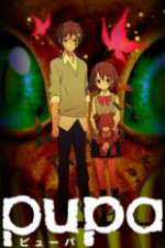 Watch Pupa Movies123
