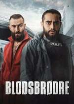 Watch Blodsbrødre Movies123
