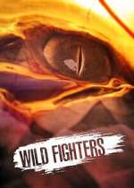Watch Wild Fighters Movies123