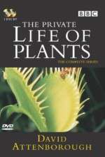 Watch The Private Life of Plants Movies123