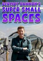 Watch Dermot Bannon's Super Small Spaces Movies123
