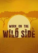 Watch Work on the Wild Side Movies123