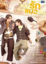 Watch Cat for Cash Movies123