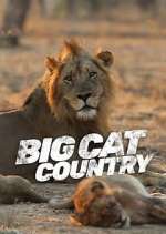 Watch Big Cat Country Movies123