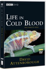 Watch Life in Cold Blood Movies123