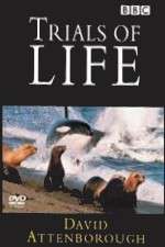 Watch The Trials of Life Movies123
