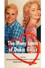 Watch The Many Loves of Dobie Gillis Movies123