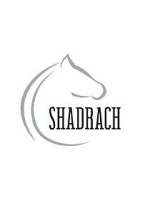 Watch Shadrach Movies123