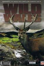 Watch Wild Wales Movies123