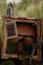 Watch Anna's Wild Life Movies123