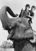 Watch Maya Movies123