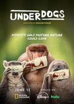 Watch Underdogs Movies123