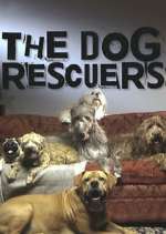 Watch The Dog Rescuers with Alan Davies Movies123