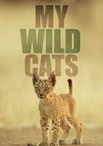 Watch My Wild Cats Movies123