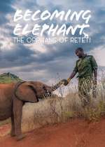 Watch Becoming Elephant: The Orphans Of Reteti Movies123