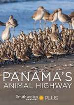 Watch Panama's Animal Highway Movies123