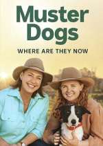 Watch Muster Dogs: Where Are They Now? Movies123