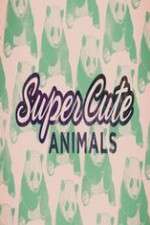 Watch Super Cute Animals Movies123