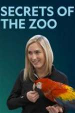Watch Secrets of the Zoo Movies123