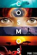 Watch Cosmos A SpaceTime Odyssey Movies123