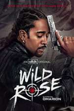 Watch Wild Rose Movies123