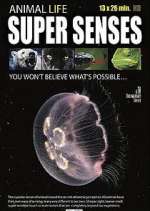 Watch Super Senses Movies123