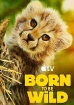 Watch Born to Be Wild Movies123