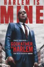 Watch Godfather of Harlem Movies123