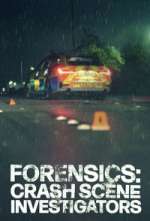 Watch Forensics: Crash Scene Investigators Movies123