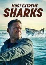 Watch Most Extreme Sharks Movies123