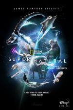 Watch Super/Natural Movies123