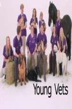 Watch Young Vets Movies123