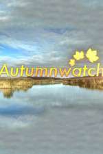 Watch Autumnwatch Movies123