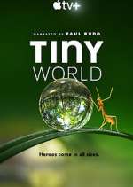 Watch Tiny World Movies123