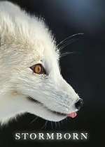 Watch Stormborn Movies123