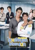 Watch My Stubborn Movies123