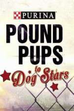 Watch Purina Pound Pups To Dog Stars Movies123