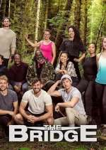 Watch The Bridge Movies123