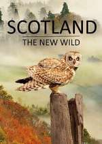 Watch Scotland - The New Wild Movies123