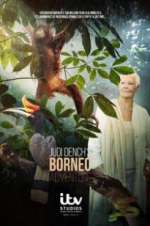 Watch Judi Dench\'s Wild Borneo Adventure Movies123